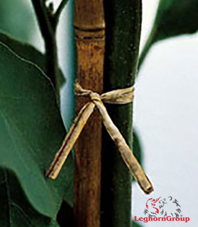 alambre plastificado para plantas bolsas ejemplos de uso